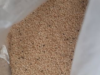 Granos Amaranto, 400 toneladas métricas, 50kg\bag
