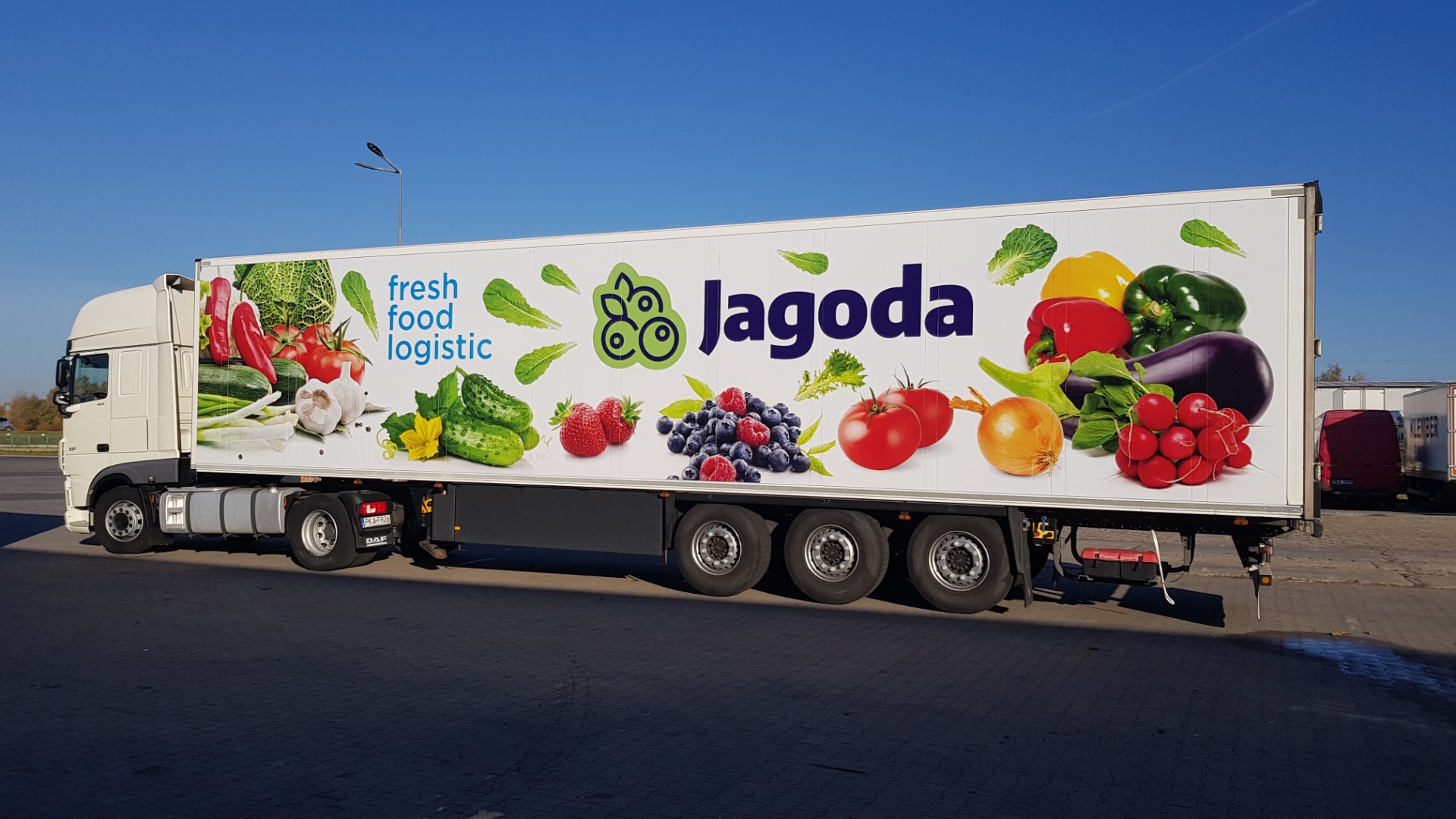Una empresa comercial y de jardinería llamada Jagoda de Kalisz vende pequeñas y grandes cantidades de pepinos de campo y de invernadero, frambuesas y tomates