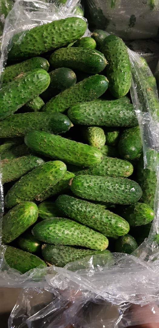 La empresa de jardinería y comercio "Jagoda" de Kalisz vende pequeñas y grandes cantidades de pepinos de campo y de invernadero, frambuesas y tomates rojos