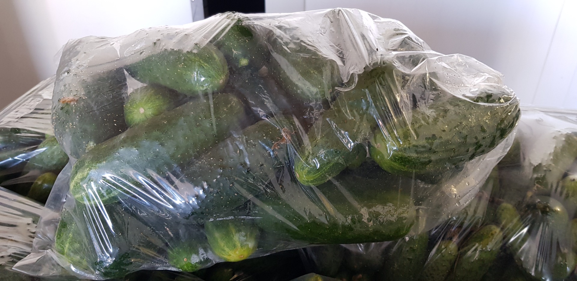 La empresa de jardinería y comercio "Jagoda" de Kalisz vende pequeñas y grandes cantidades de pepinos de campo y de invernadero, frambuesas y tomates rojos