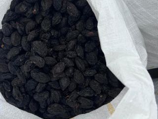 Vendo ciruelas pasas con y sin semillas.