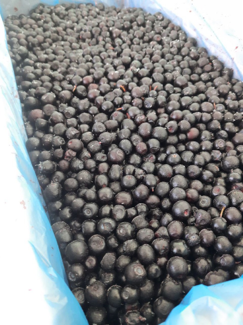 E-cleaning arándanos silvestres (forest blueberry) HACCP También hay arándanos rojos y arándanos silvestres Precio sin IVA Telegram / whatsapp