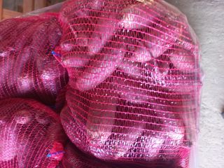 Hola, vendo remolacha variedad Alto. Más información en el