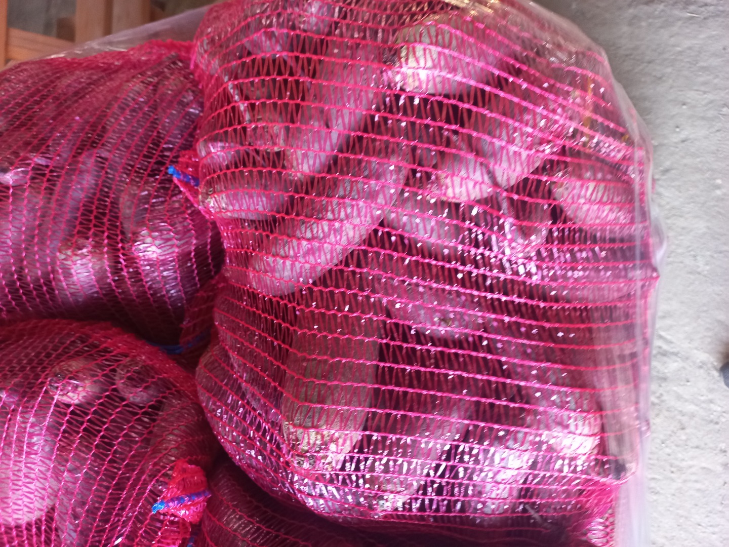 Hola, vendo remolacha variedad Alto