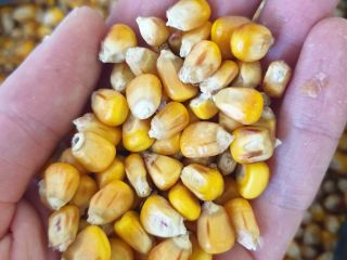 AGRO de Ucrania, cerca de la frontera con Polonia.