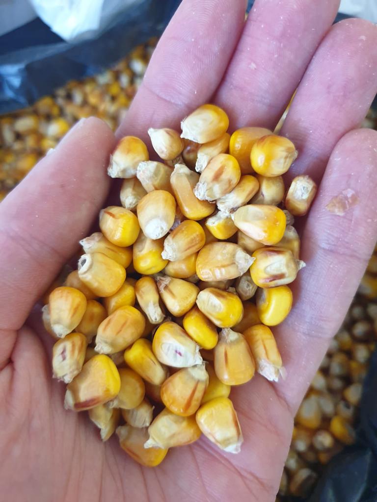 AGRO de Ucrania, cerca de la frontera con Polonia