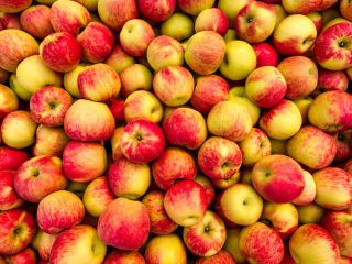 Vendemos manzanas para industria aproximadamente 500 toneladas Detalles al