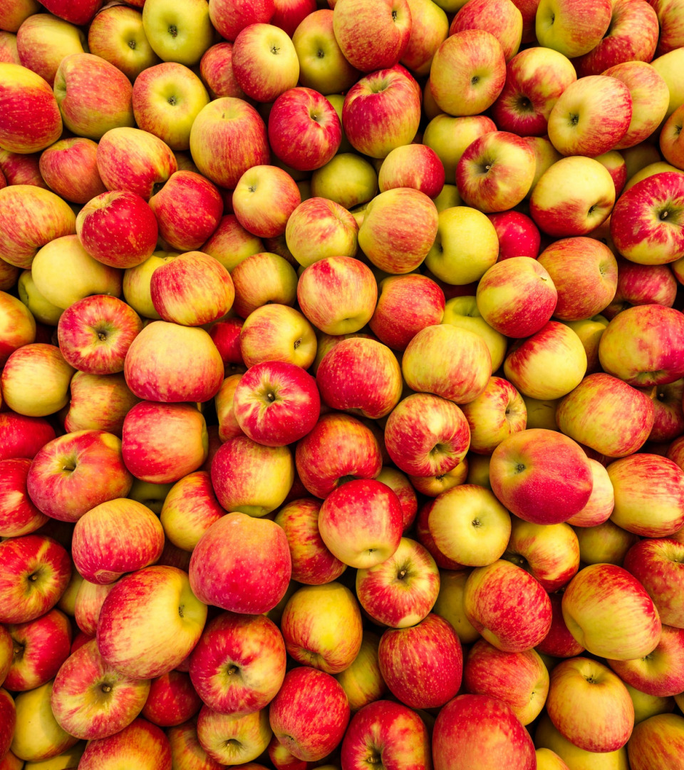 Vendemos manzanas para industria aproximadamente 500 toneladas Detalles al teléfono