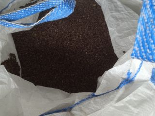 Venderé trigo sarraceno orgánico sin certificado. Secado y lavado