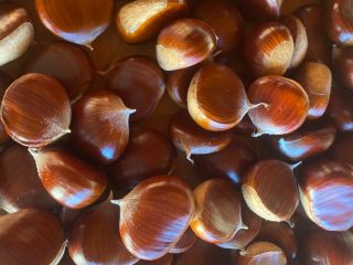 Somos uno de los mayores productores de castañas dulces