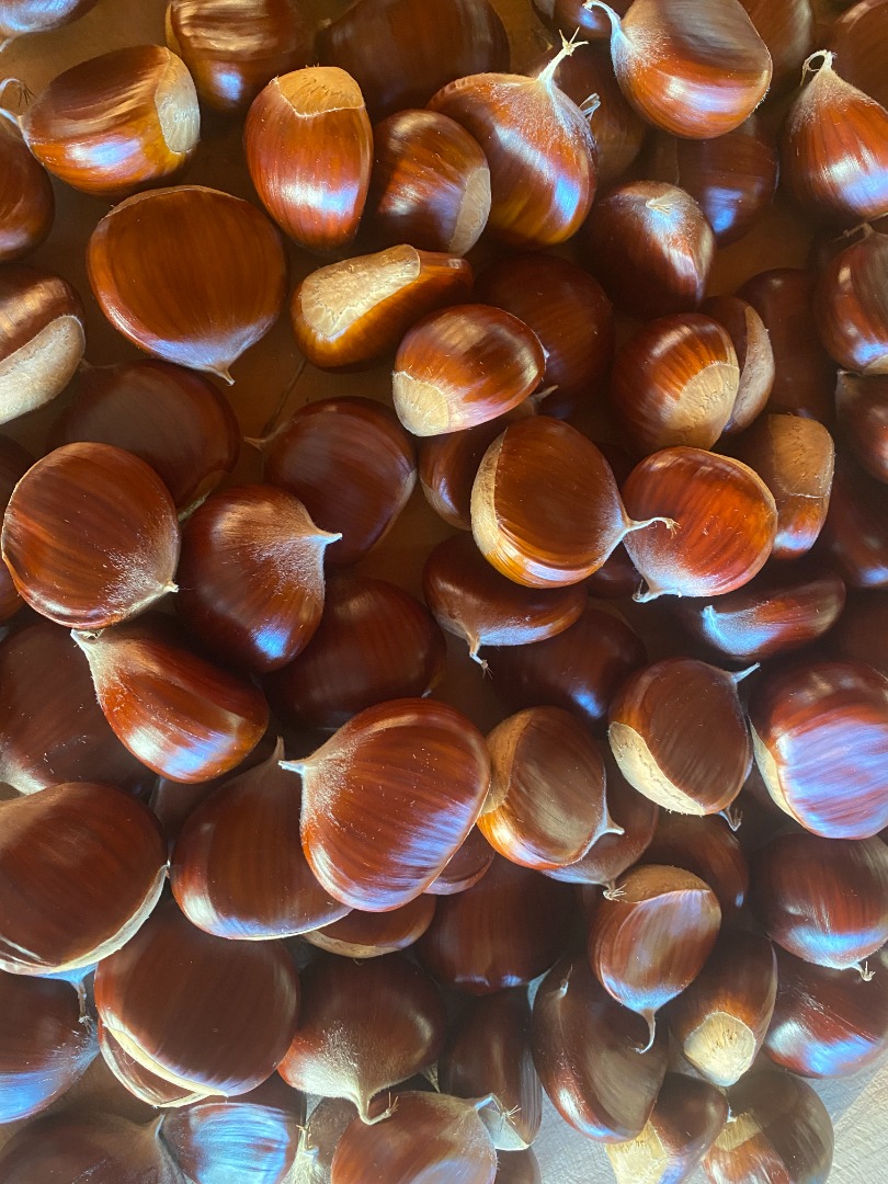 Somos uno de los mayores productores de castañas dulces comestibles en la región de Lazio y en toda Italia
