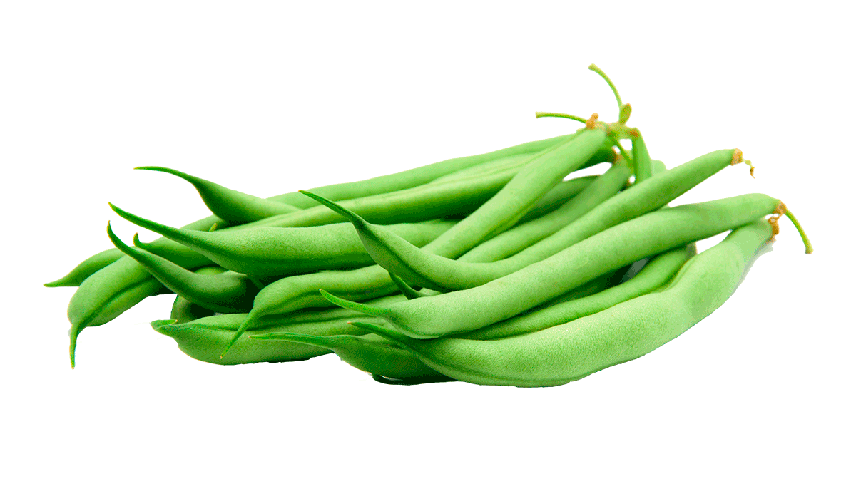 judías verdes frescas de Egipto Variedades: Paulista - Bronco - Valentino - Hama Bean variedades: Bobby Beans - Fine Beans - Helda Beans - Extra Fine Beans
