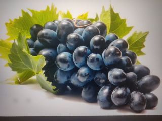 Vendemos uva de mesa, variedad MOLDOVA. Cantidad 100 toneladas.