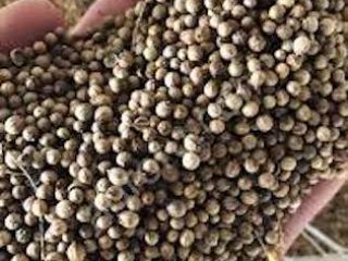 Compramos con entrega a un almacén en Odessa. Lelen