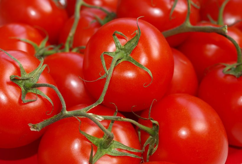 Venta de tomates molidos verdes y rojos