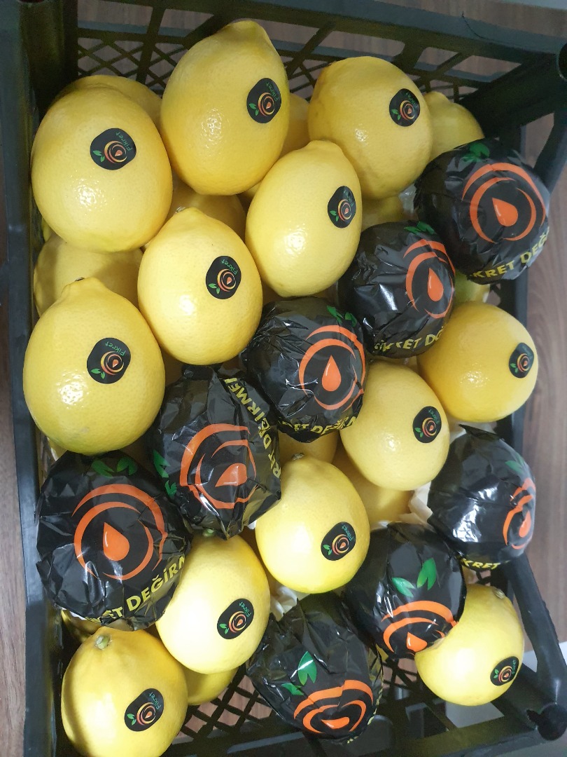 Mayer de limón fresco disponible para exportación