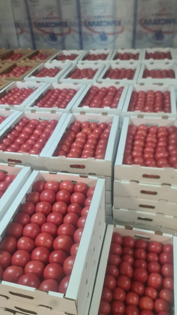 Venderé tomates frambuesa frescos de Bielorrusia