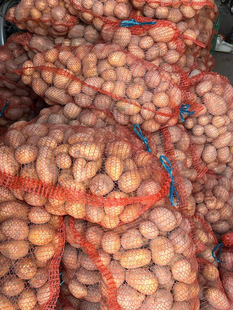 Hola vendo papas directamente del campo, cantidad de carro entero, tengo variedades de lirio y leyds rojas