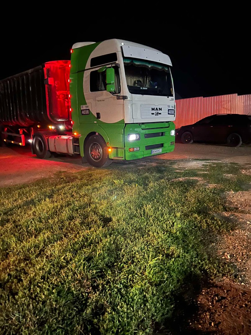 SOJA Glycine max L