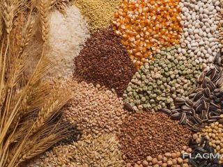 La empresa polaca comprará para la exportación una gran