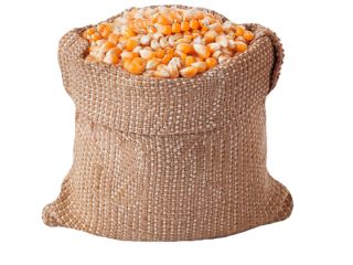 El MAÍZ se clasifica ampliamente como un alimento integral,