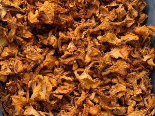 Estoy buscando rebozuelos secos. Cantidad: 1000-1500 kg Calidad: 1ª