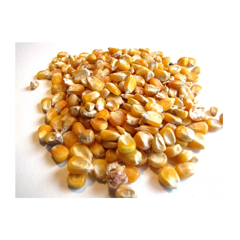 Maíz amarillo Especificación de maíz amarillo/maíz: Nombre del producto -Cultivo de maíz amarillo- Año actual Humedad -14 % Pureza máxima -99 % Proteína