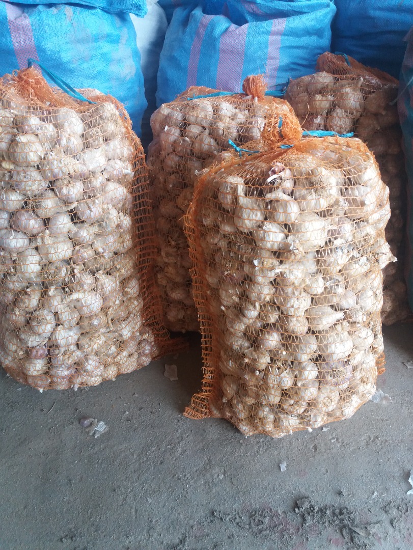Venderé ajo de invierno de la variedad Old Polish Harnas, saludable para el consumo y la siembra, por favor contácteme