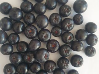 FRUTAS DE ARONIA SUPER FRESCAS Y NATURALES DE LA