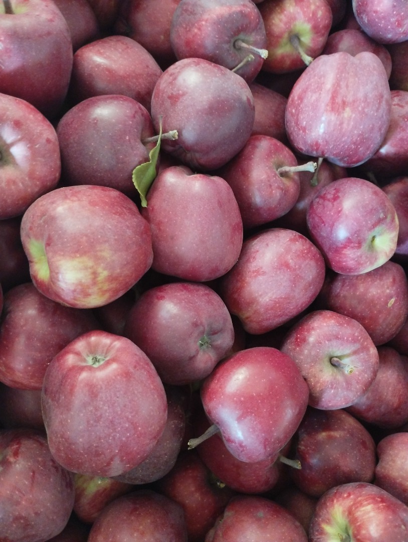 Venderé 20 cajas de manzanas del grupo Red Chief