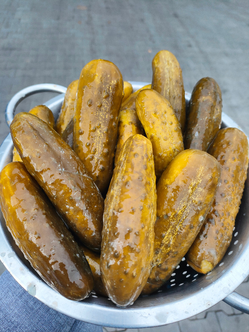 Venderé pepino encurtido de 9-12 cm y 12-15 cm a granel en barriles de 160 litros Recibo de la planta de procesamiento de frutas y verduras, Szkolna 11