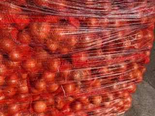 Venta de cebolla, 22000 kg. Origen Turquía. Envasado sacos