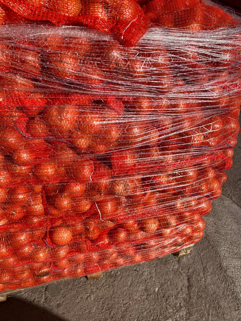 Venta de cebolla, 22000 kg