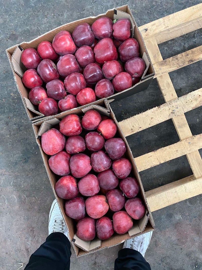 Manzana toda variedad: red delicious, grenny smith, mutsu, idared, gold delicious, jonagold
