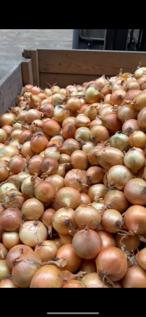 Hola vendo cebollas de bolsa, bigband, sueltas