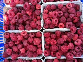 Vendo frambuesas de mi propia plantación dulce ecológico cosecha