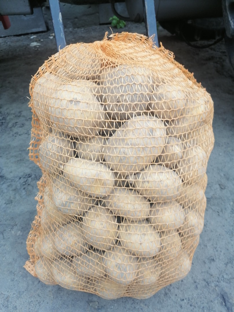 Venderé 8 variedades de papas comestibles