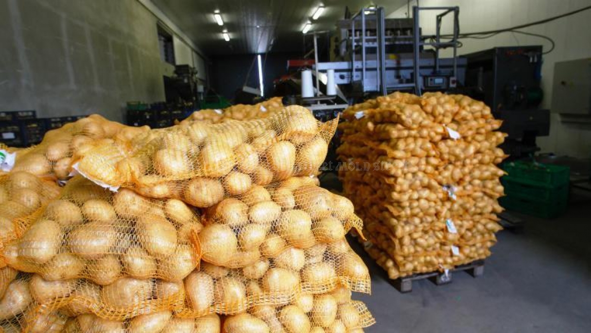 Patatas a la venta a granel