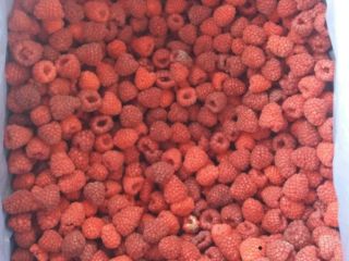 Frambuesa congelada envasada en cajas de 8-10 Kg. Clase