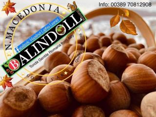 Tonda Gentile Romana: Avellanas de gran calidad. Productos de