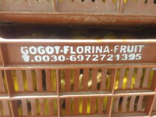 FIA-GOGOT-FRUIT les ofrece productos de calidad y precio de