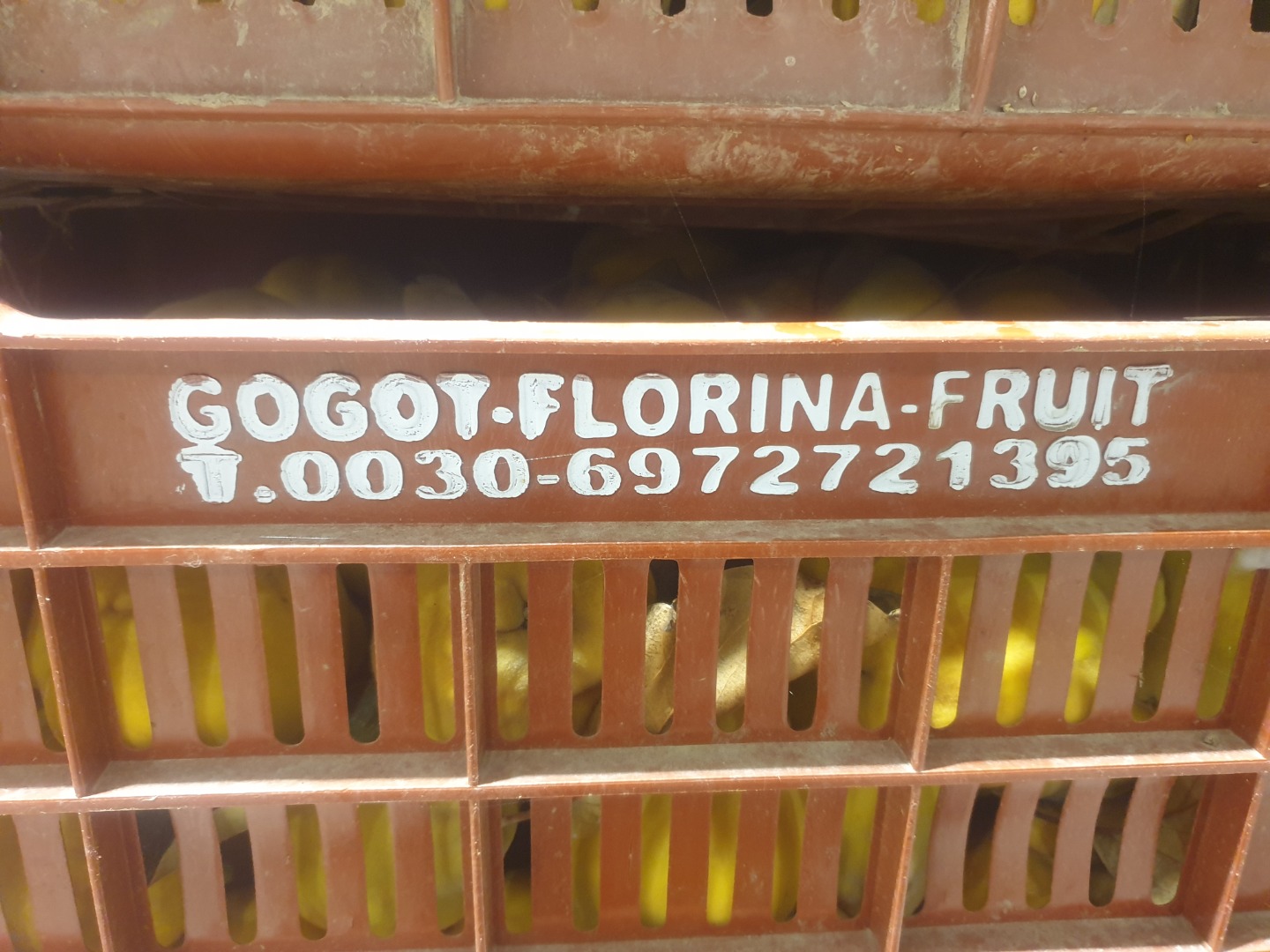 FIA-GOGOT-FRUIT les ofrece productos de calidad y precio de productor, contamos con membrillos en temporada y son seleccionados de acuerdo a los requerimientos