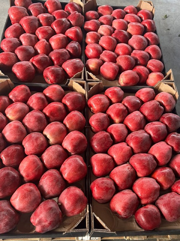 ¡Vendemos diferentes variedades de manzanas en grandes cantidades! Para más detalles, llame al número de teléfono o Viber!