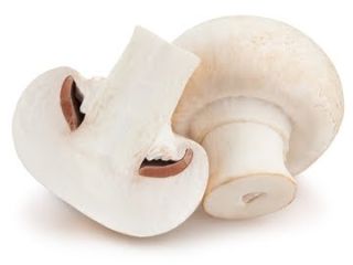 Venderé cantidades al por mayor de champiñones blancos. Producción