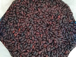 frijoles rojos, limpios en sacos