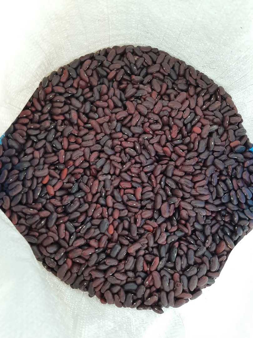 frijoles rojos, limpios en sacos