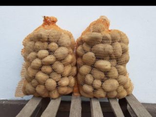 Patata, variedad Denar