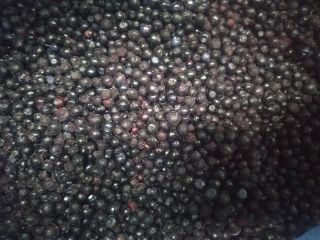 Venderé una baya del bosque congelada de Ucrania. Sólo