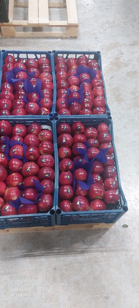 Manzanas Starkinson y Granny