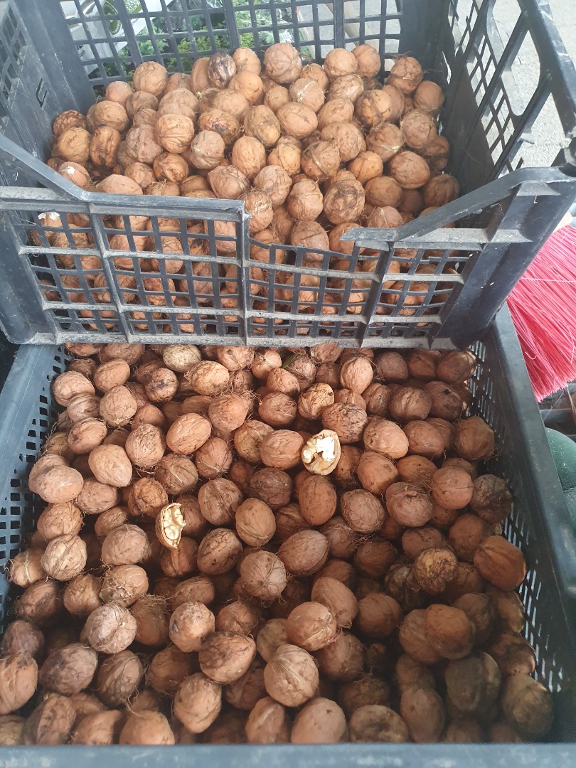 Cáscara blanda muy sabrosa, seca o húmeda